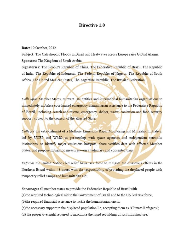 Directive 1.0 | PDF | United Nations | International Relations