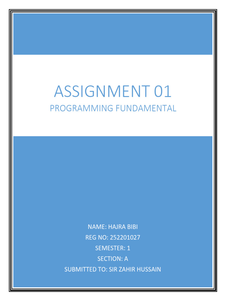 Assignment 01 of Programming Fundamental of Theory | PDF