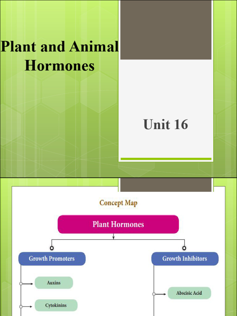 16plant and Animal Hormones | PDF | Adrenal Gland | Endocrine System