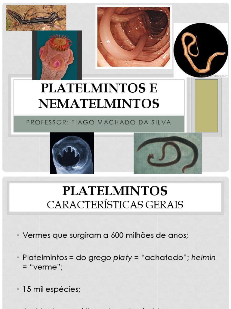 Platelmintos e Nematelmintos: Características | PDF | Nematoda | Zoologia