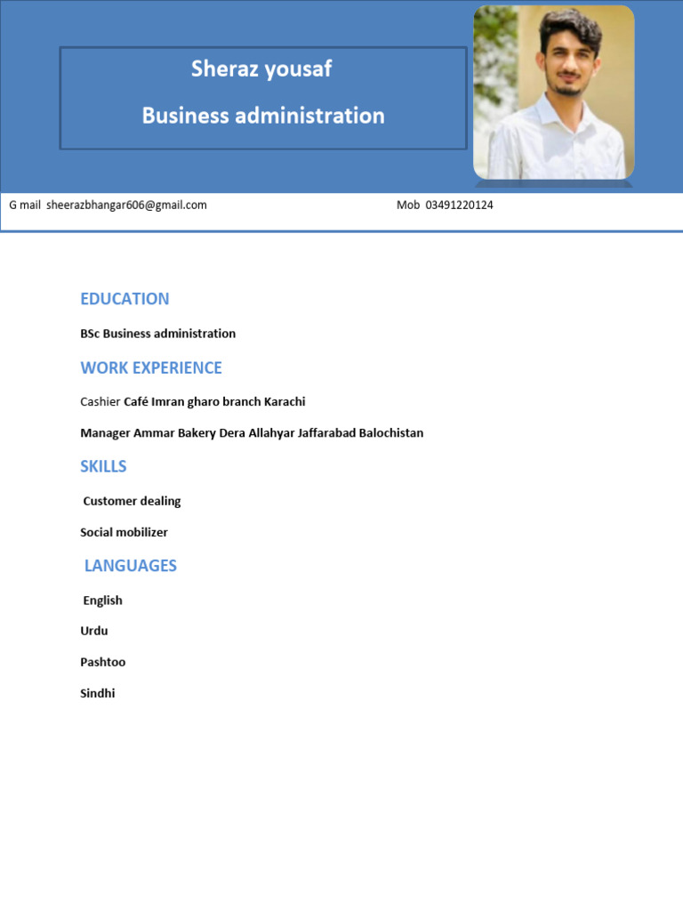 Sheraz Resume | PDF