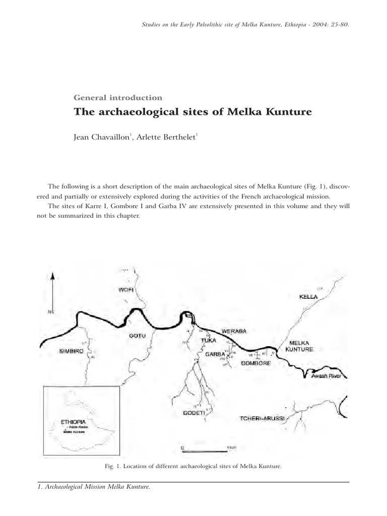 Archaeology | PDF | Artifact (Archaeology) | Stone Age
