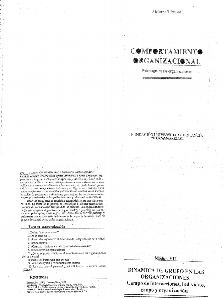 Dinámica de Grupo en Las Organizaciones | PDF