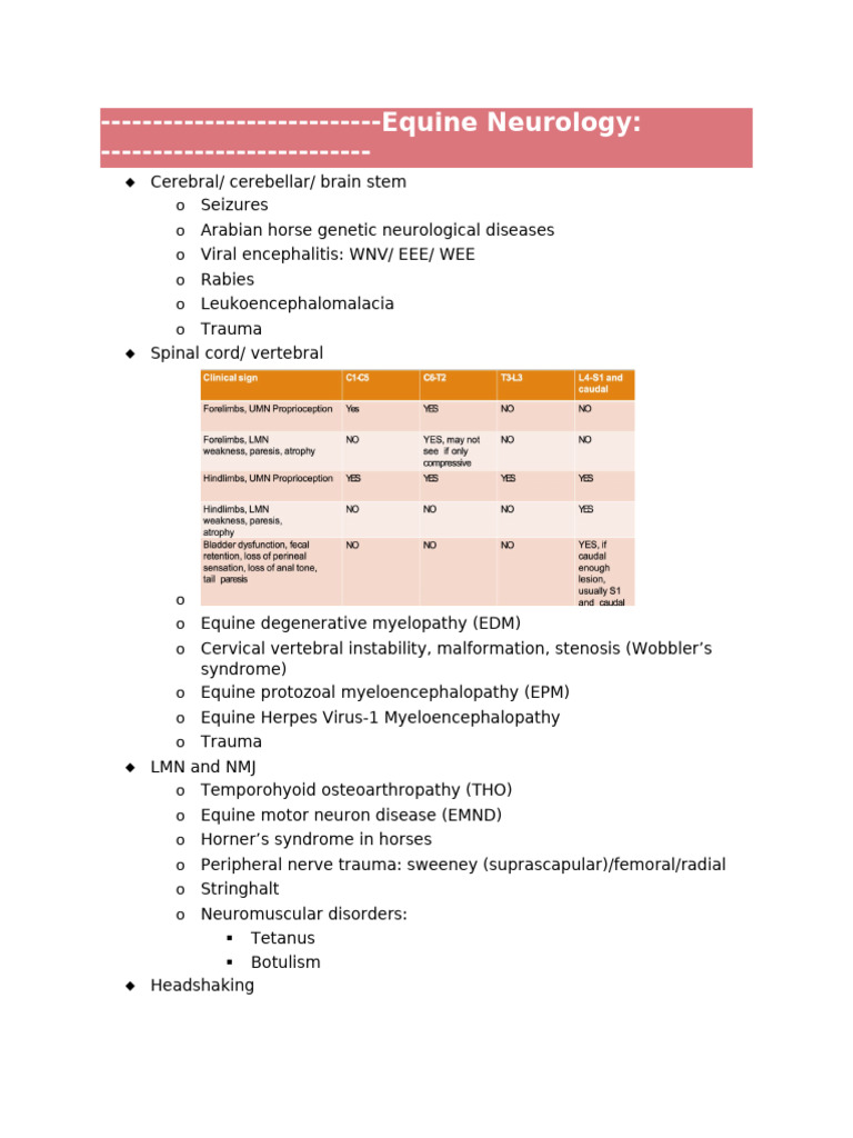 Neuro Outline Final | PDF