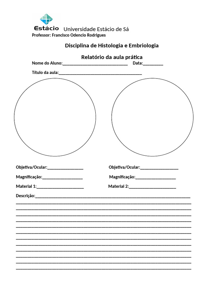 Modelo Relat Rio-1 | PDF