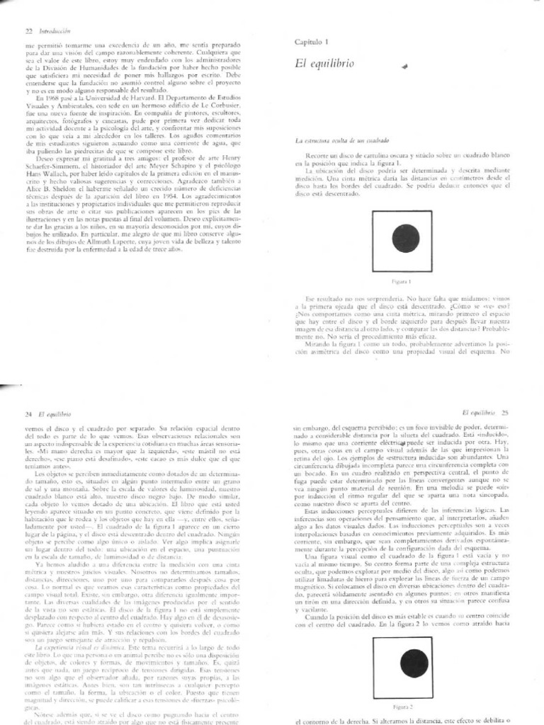 Arte y Percepcion Visual - Cap 1 | PDF