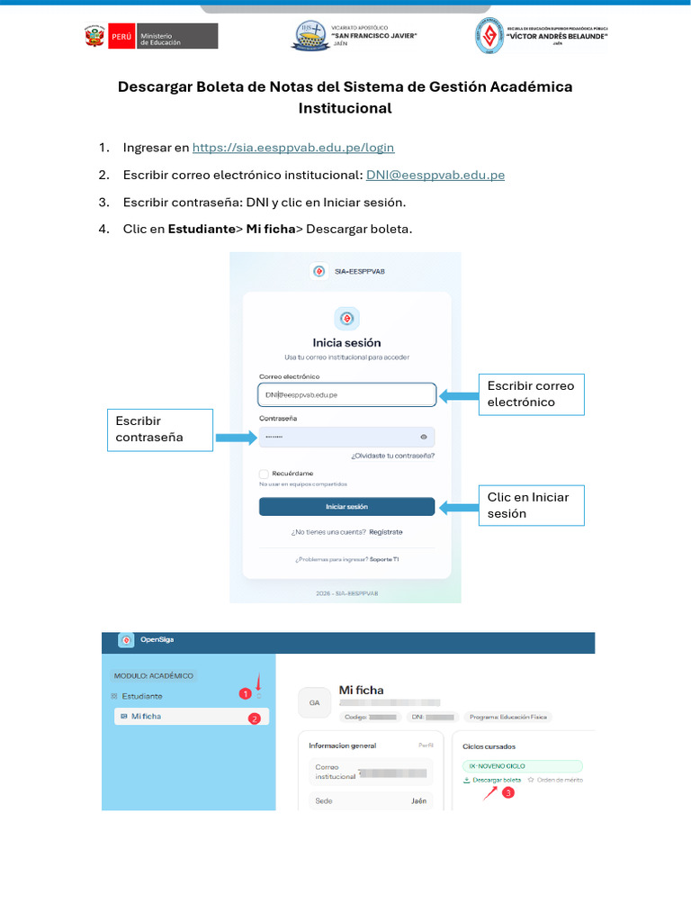 Descargar Boleta | PDF