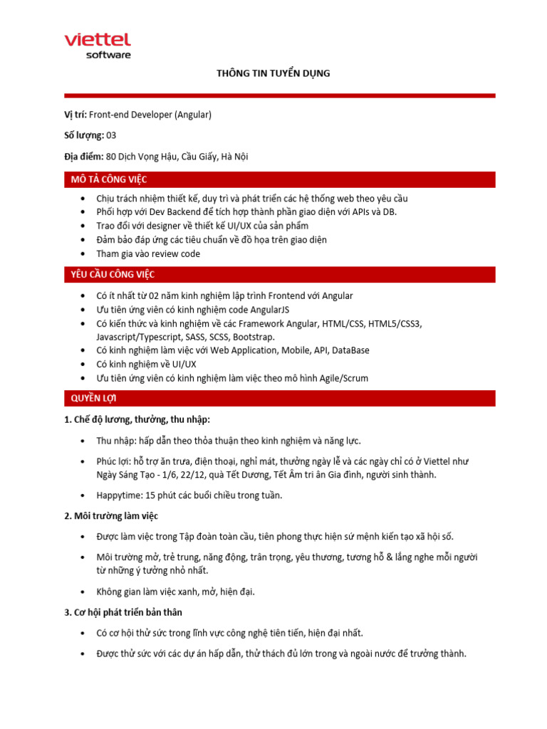 Viettel Software Angular Developer | PDF
