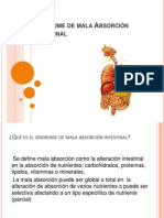 Síndrome mala absorción intestinal