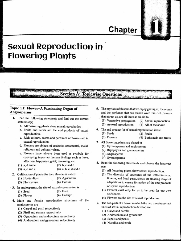 Sexual Reproduction in Flowering Plants - 1 | PDF
