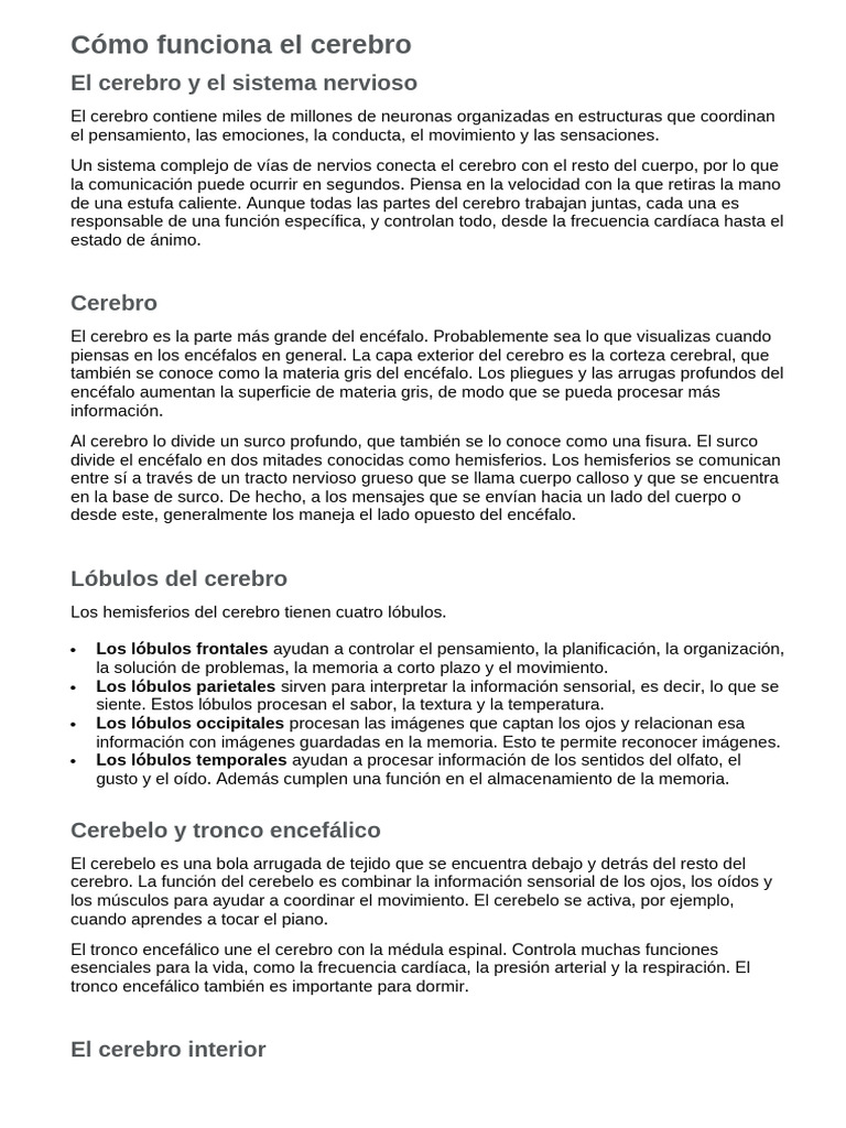 Cómo Funciona El Cerebro | PDF