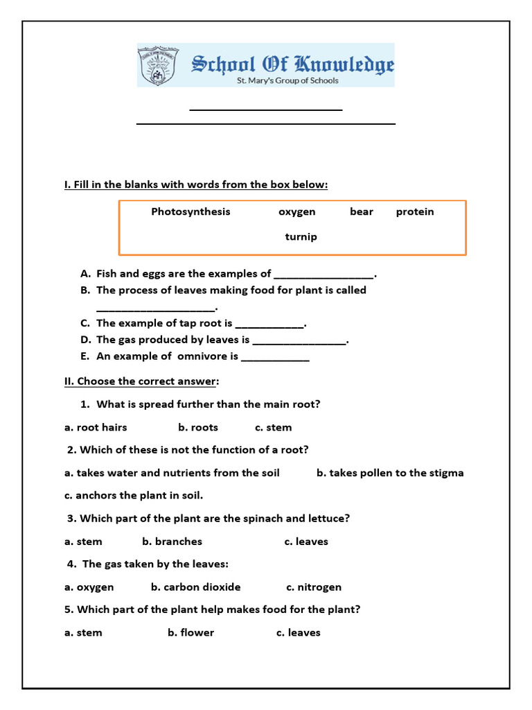 Yr 3 Science Revision Worksheet | PDF | Foods | Flowers