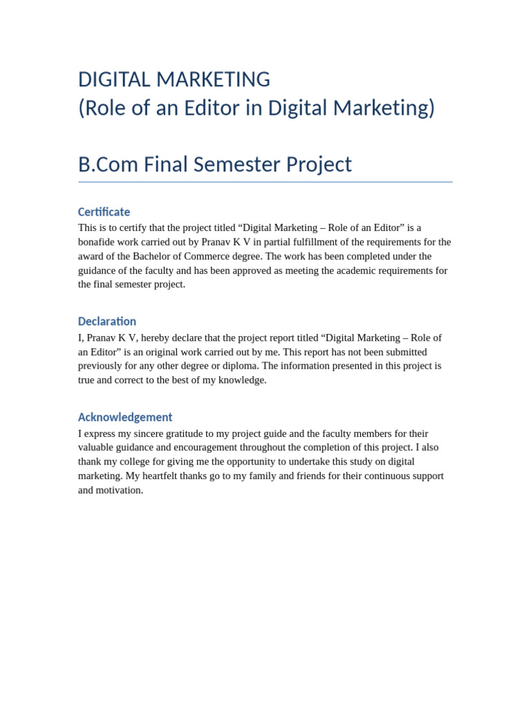 Digital Marketing Bcom Project | PDF