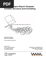 Project Report Structure Guide | PDF | Design | Trials