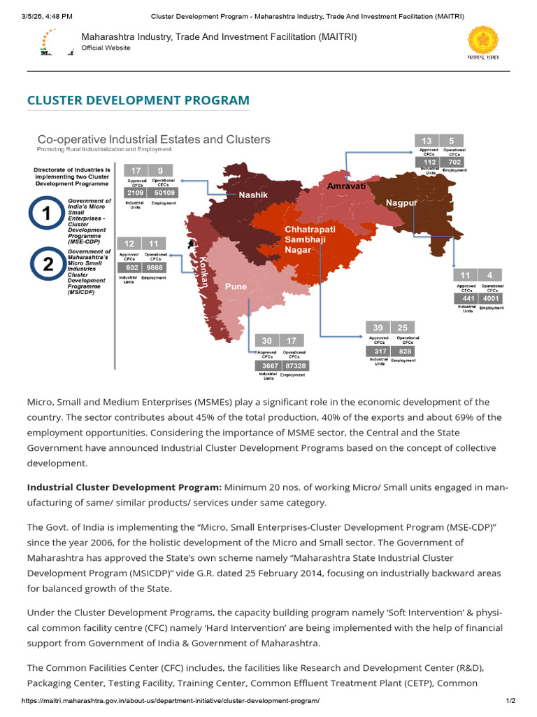 Cluster Program | PDF