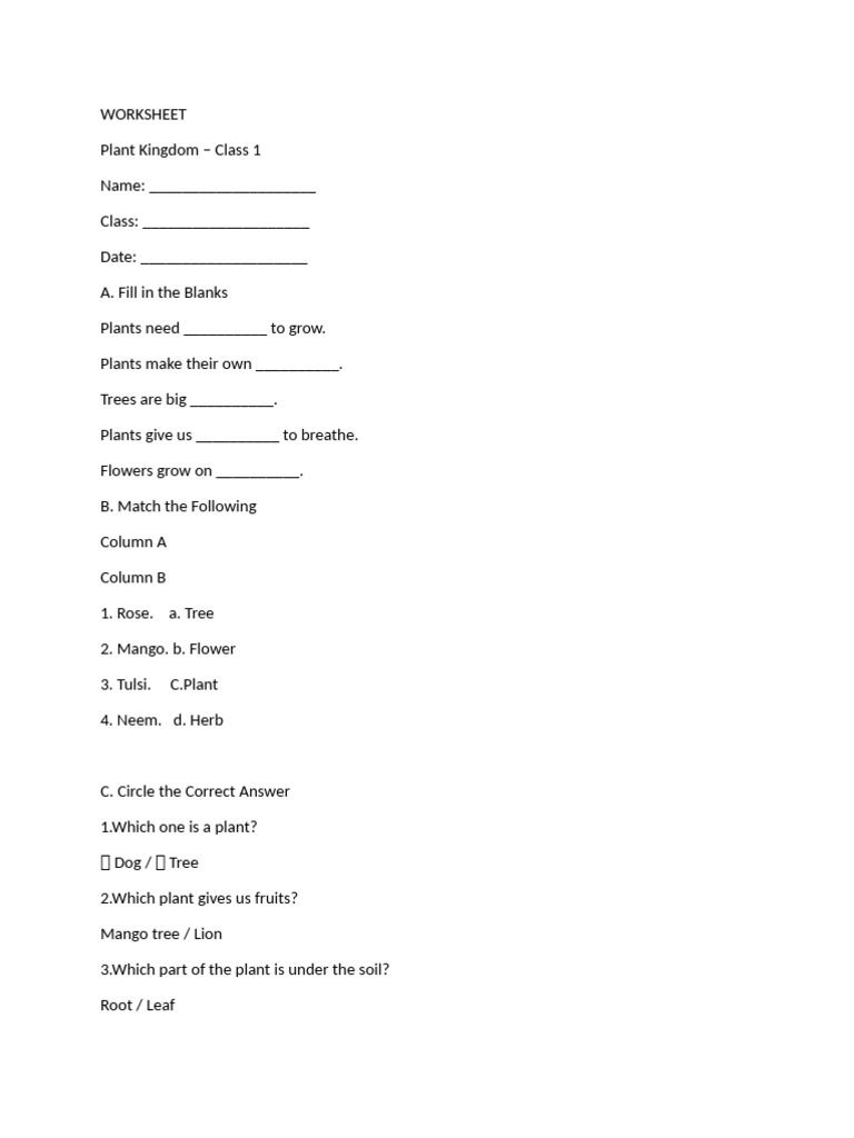 Worksheet | PDF