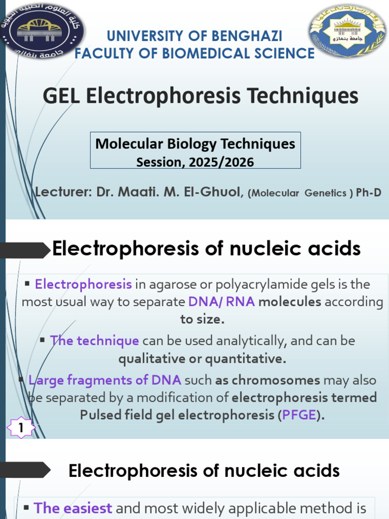 GEL Electrophoresis Techniques | PDF | Gel Electrophoresis | Agarose ...