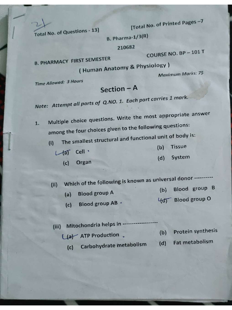 1st Sem Papers | PDF