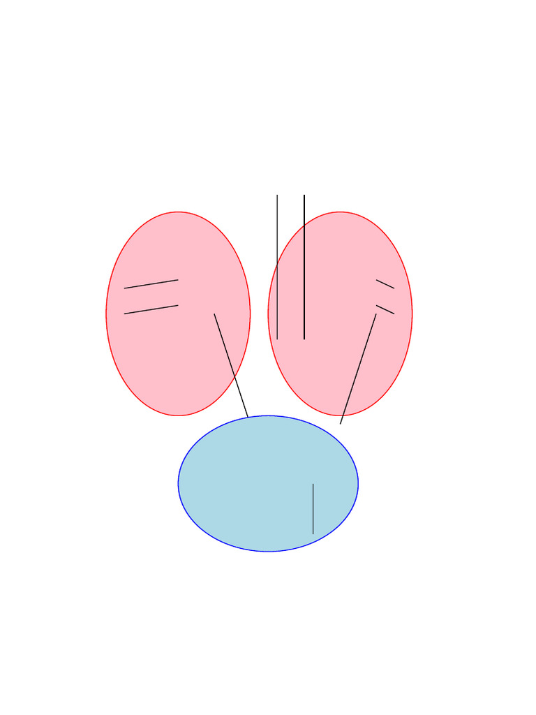 Colorful Detailed Human Excretory System Diagram | PDF