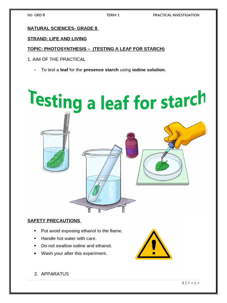 Natural Sciences Grade 8 Prac 2026 | PDF | Cellular Respiration ...