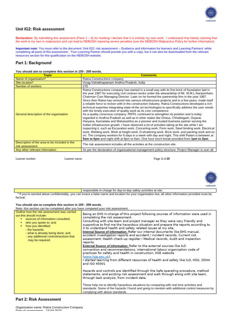 Ig2 Risk Assessment | PDF | Occupational Safety And Health | Tinnitus