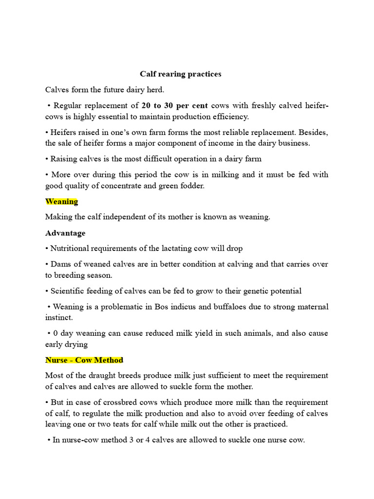 Calf Rearing Practices | PDF | Cattle | Weaning