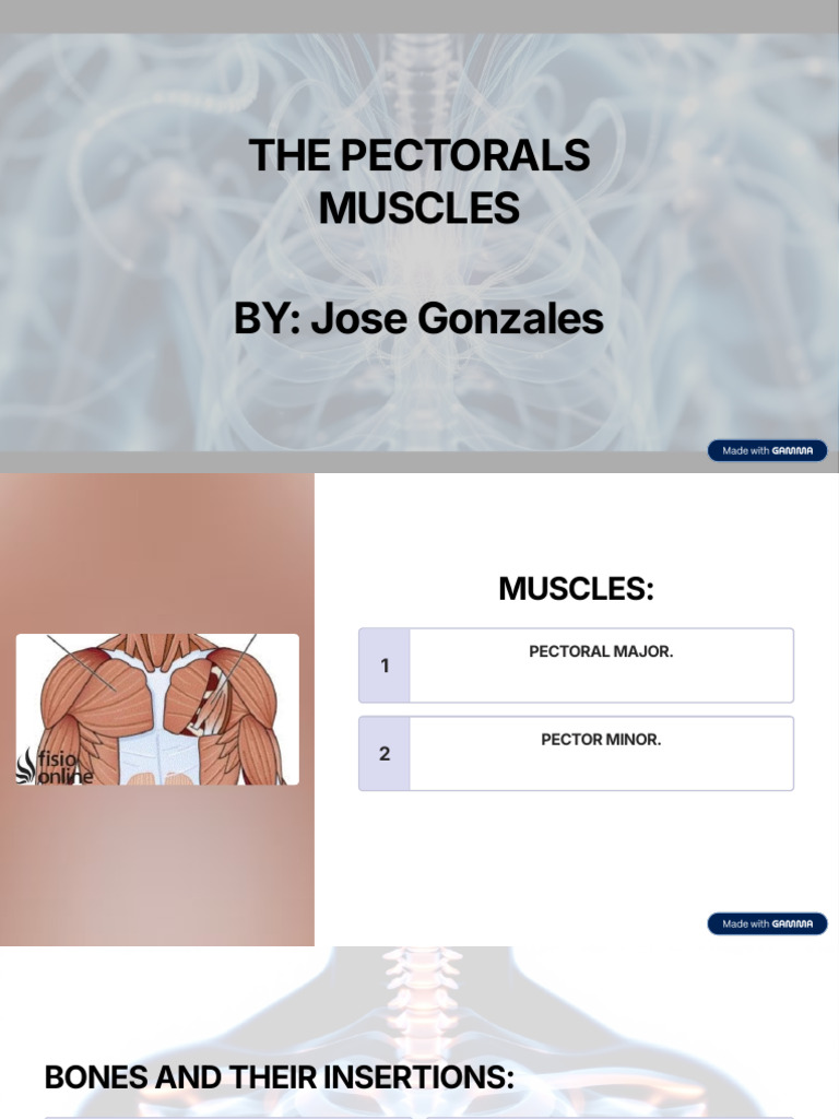 The Pectorals Muscles by Jose Gonzales | PDF