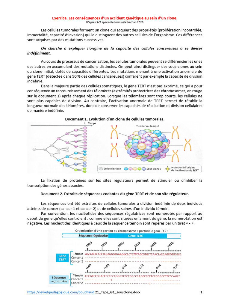 TD 1 Sous Clone | PDF | Cancer | Télomère