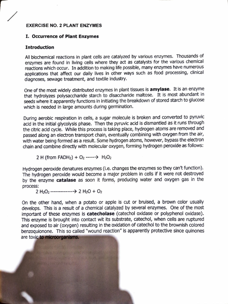 Ex 2 | PDF | Enzyme | Substrate (Chemistry)