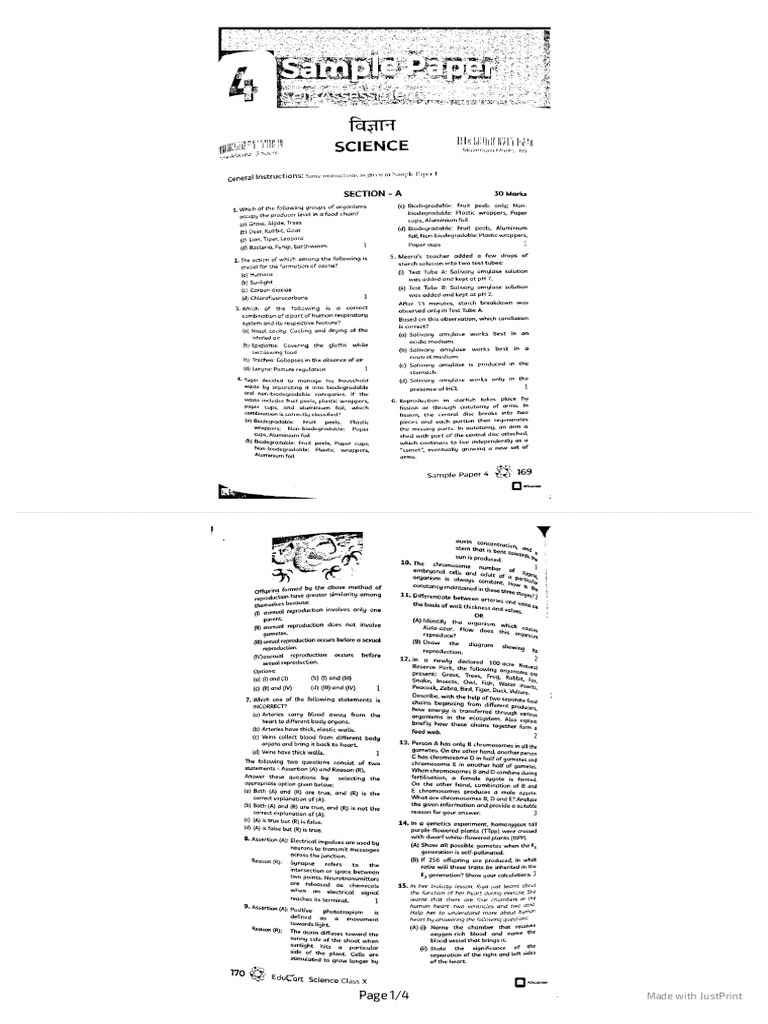 JustPrint 20260206 180712 | PDF