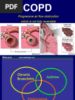 COPD: Pink Puffers vs Blue Bloaters | PDF | Chronic Obstructive ...