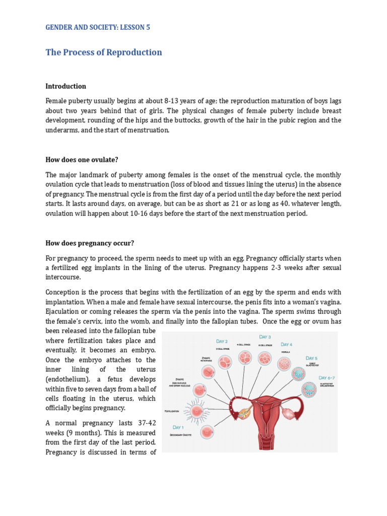 Lesson 5 - The Process of Reproduction | PDF | Human Reproduction ...