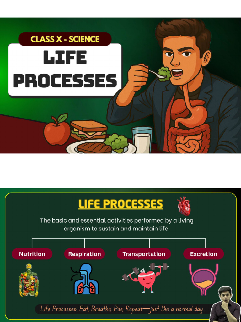 Life Processes - One Shot | PDF