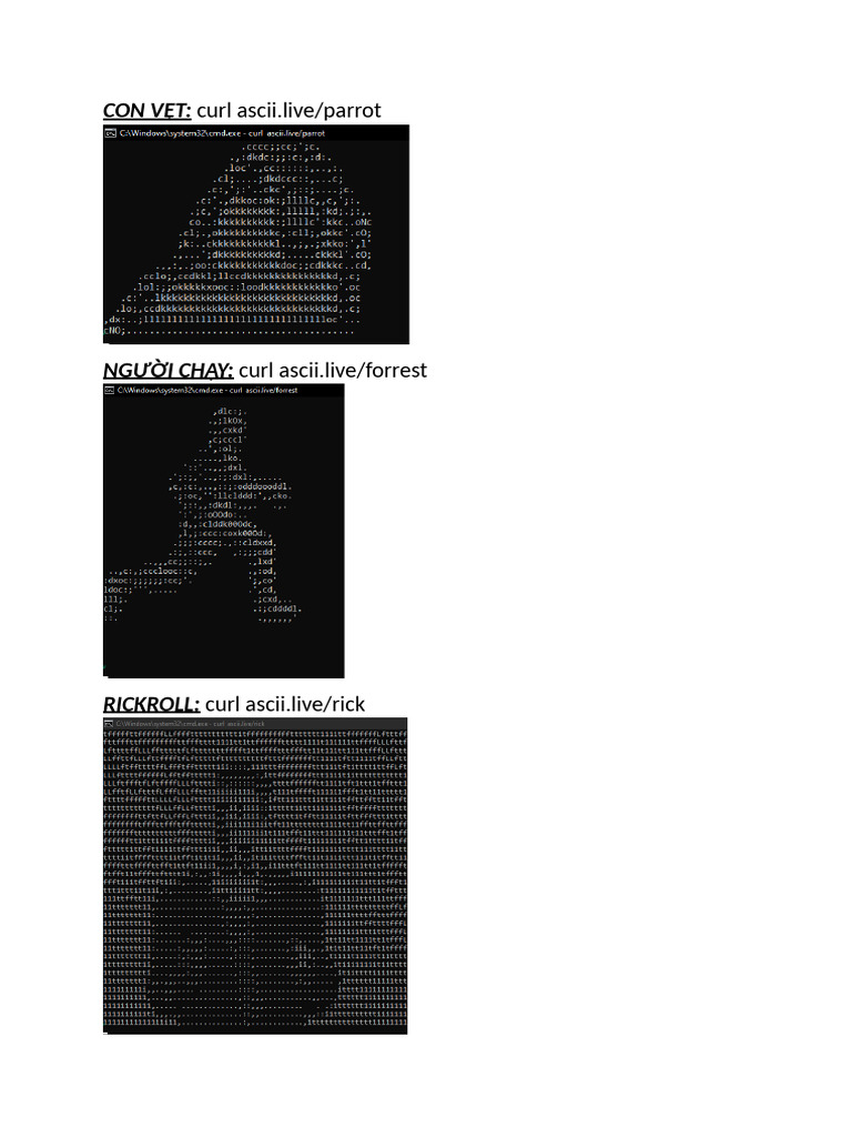 Curl Ascii - Live | PDF