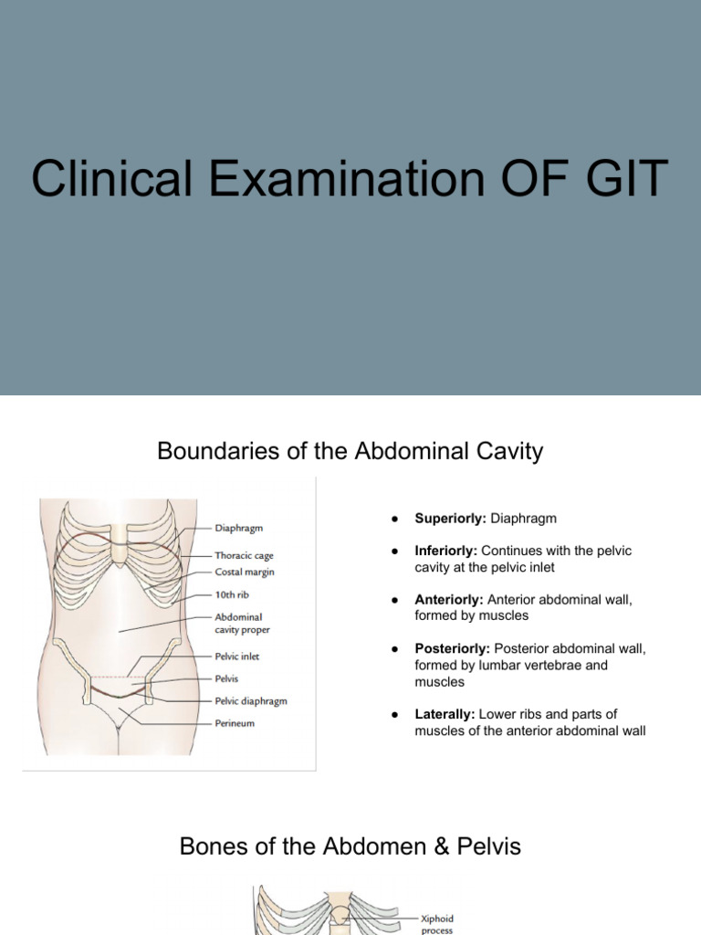 Clinical Examination of GIT - Physiology - Practical | PDF | Abdomen ...