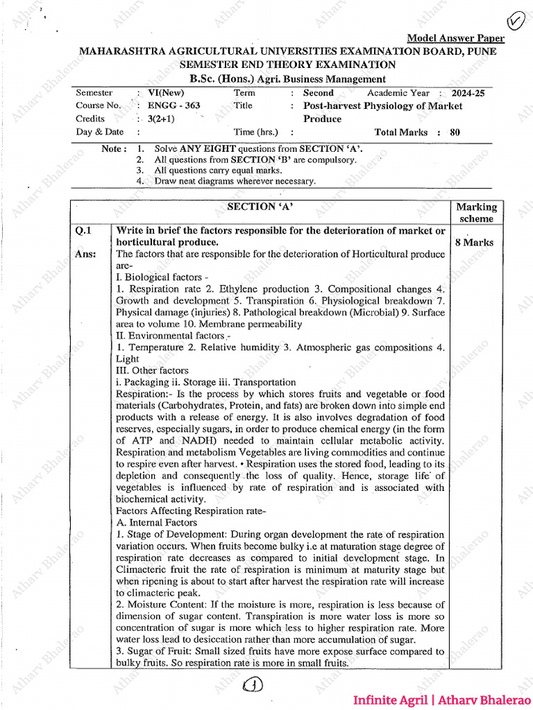 6th Sem ABM (2024-25) Model Ans Papers Set - Atharv Bhalerao | PDF