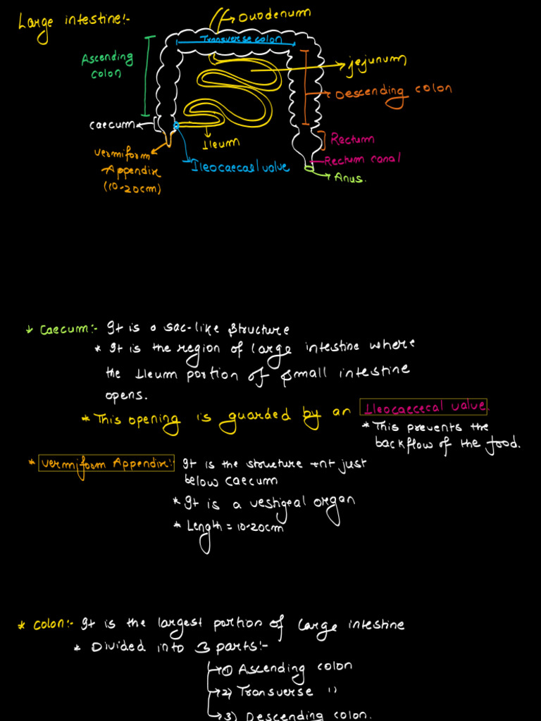 Lec 16 | PDF