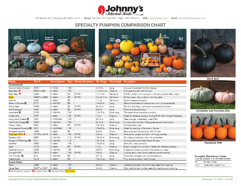 Pumpkins Specialty Varieties Comparison Chart | PDF | Pumpkin | Fruit ...
