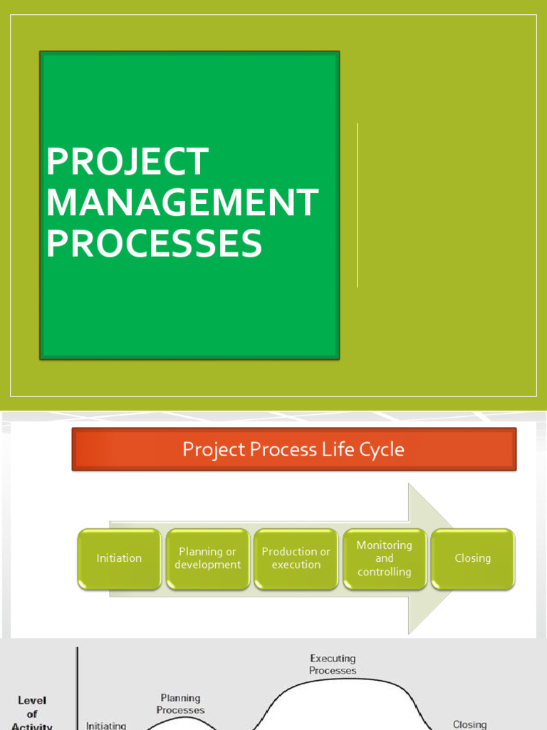 Project Life Cycle (Detail) | PDF | Project Management | Business