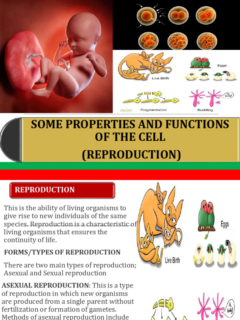 Some Properties of The Cell (Reproduction) | PDF | Grafting | Sexual ...