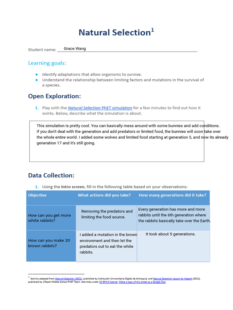 Qianhe Wang - Activity Sheet Natural Selection | PDF