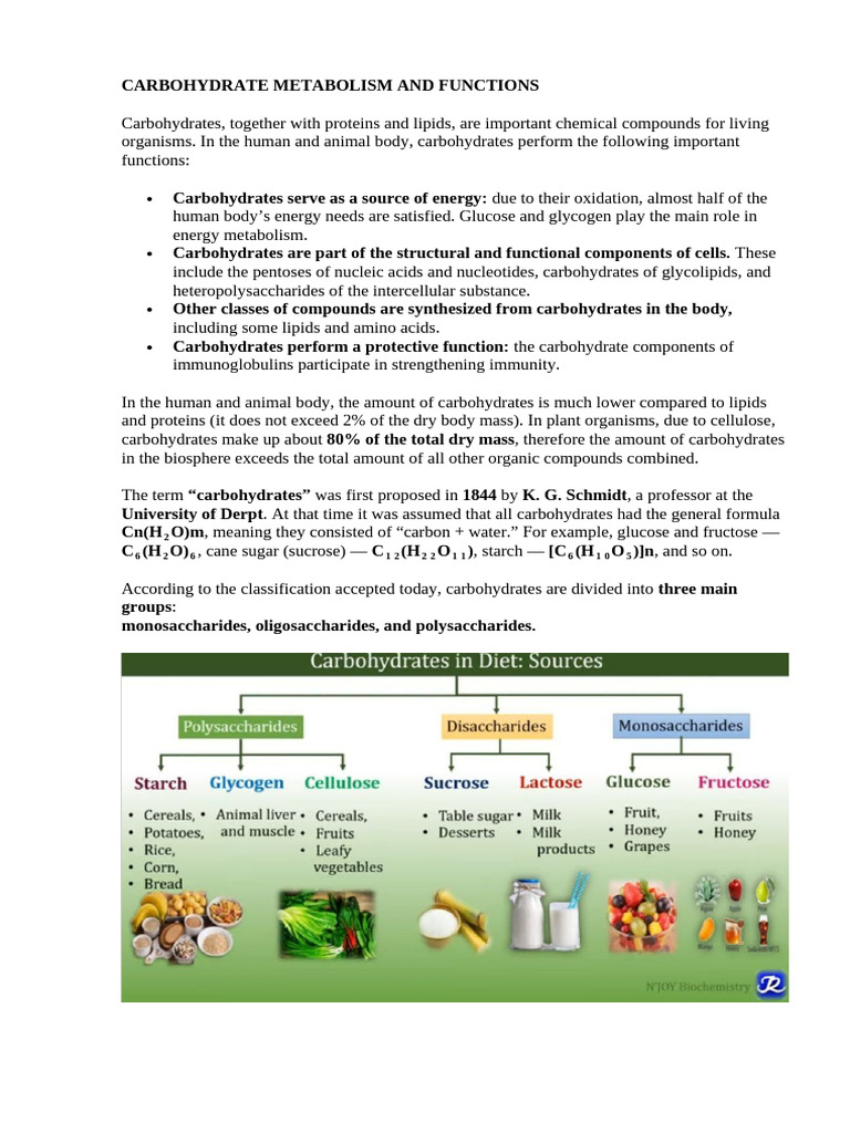 6-P.carbohydrate Metabolism and Functions | PDF | Carbohydrates | Glucose
