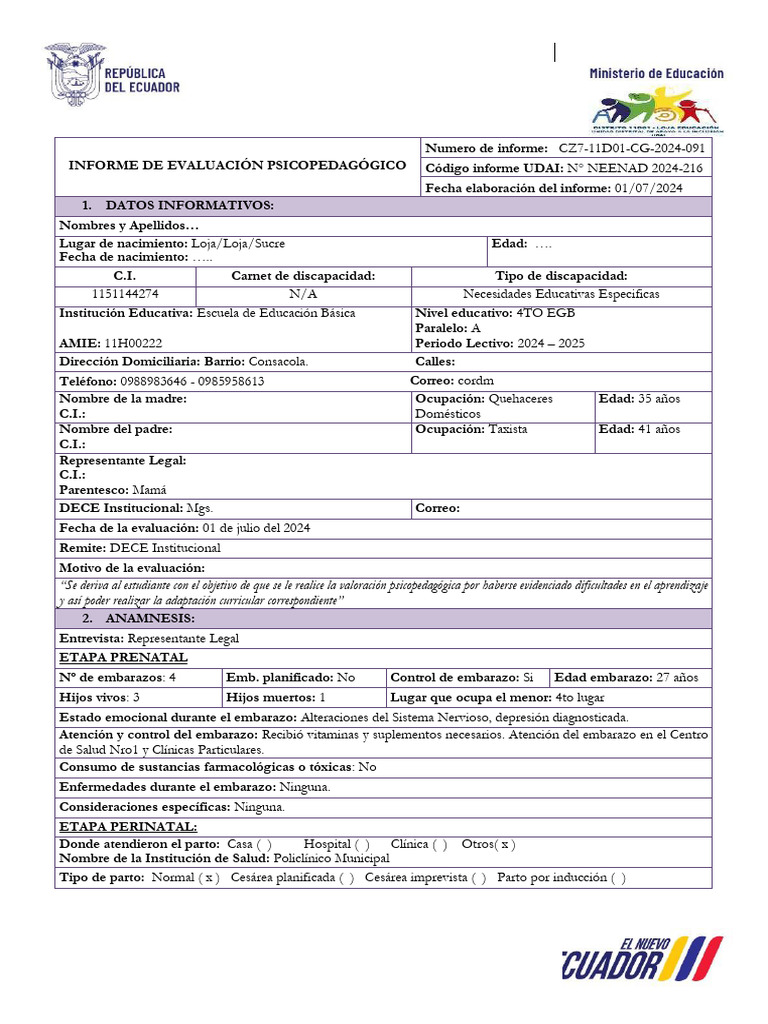 Modelo Informe Psicopedagogico | PDF | Plan de estudios | Aprendizaje