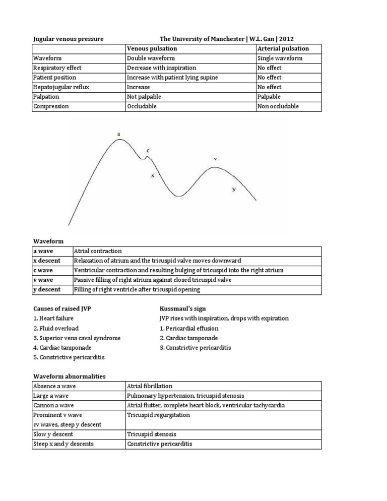 Jvp Wl Gan Pdf