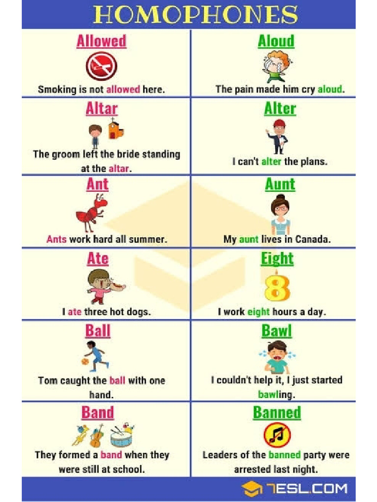 Homophones | PDF