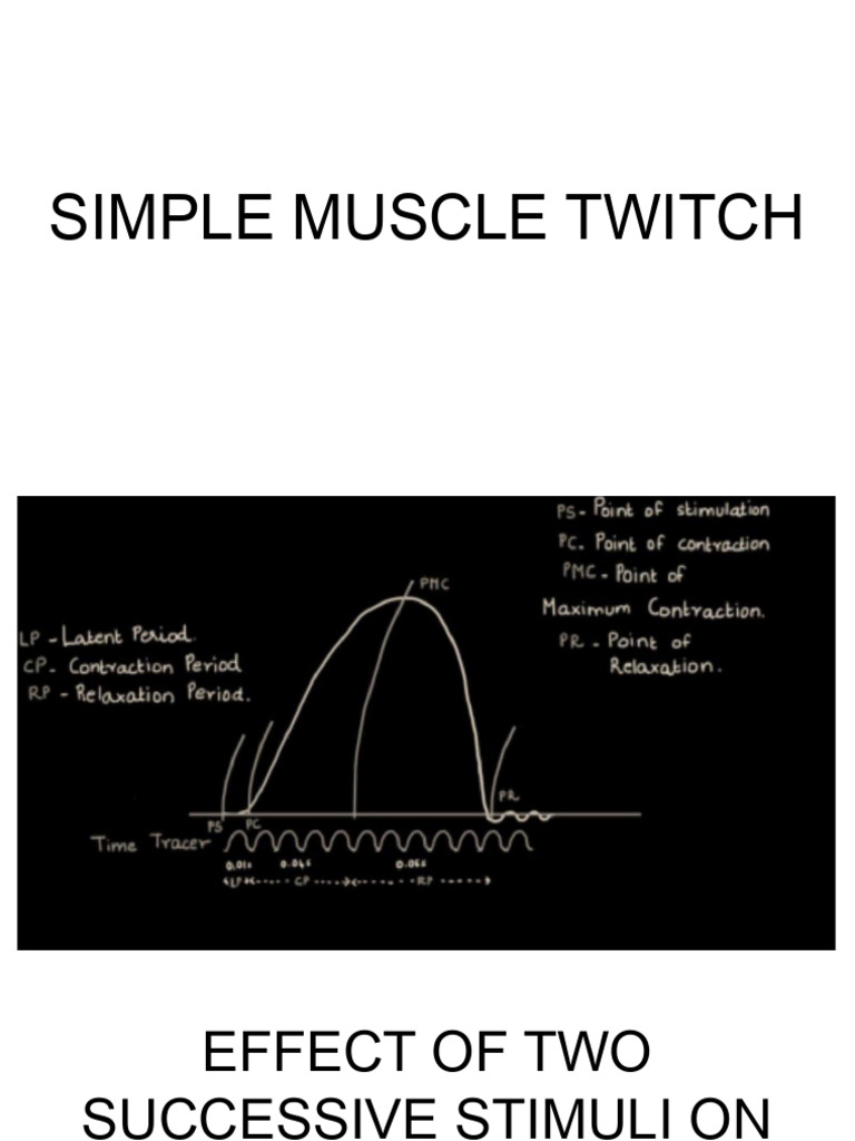 skeletal muscle graphs | PDF