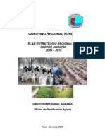 Plan Estrategico Regional Agrario 2009