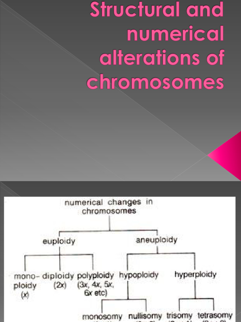 DOC-20260402-WA0008. | PDF | Ploidy | Chromosome