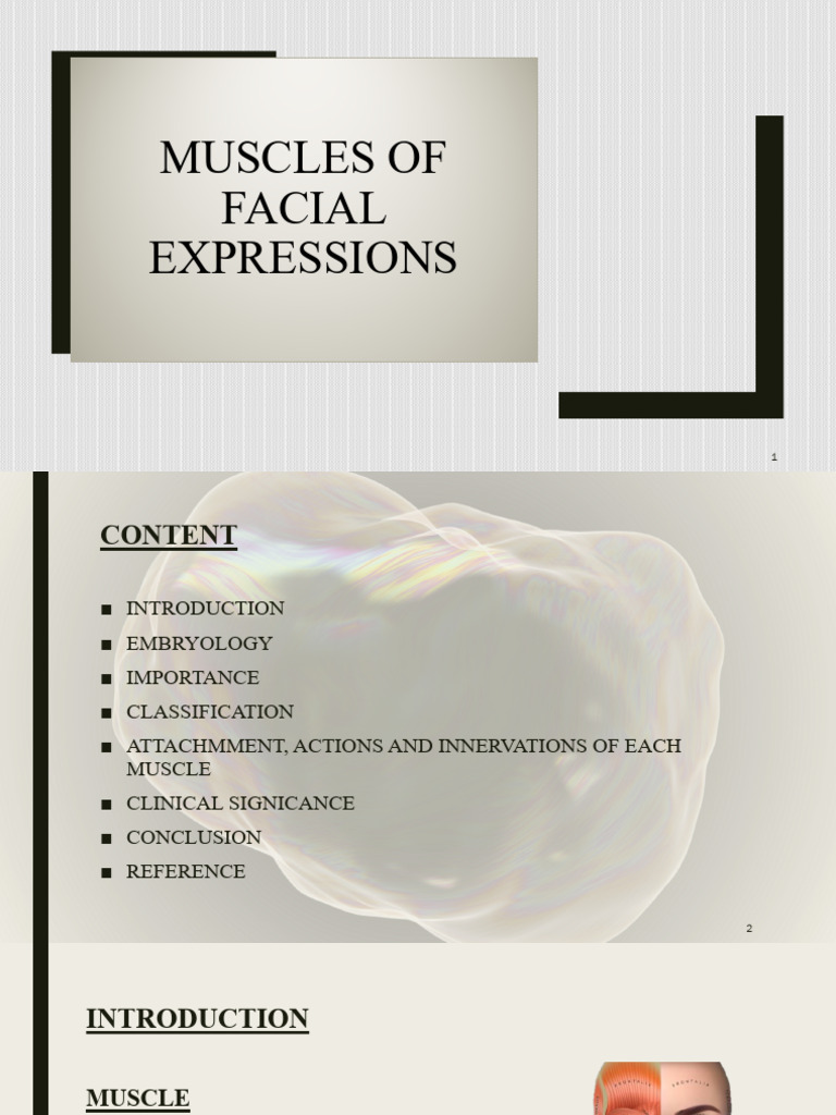 Muscles of Facial Expression | PDF | Human Nose | Lip