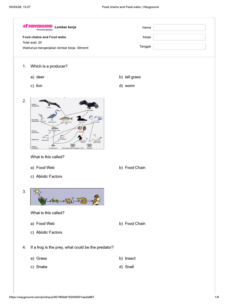 Food Chains and Food Webs - Wayground | PDF | Food Web | Foods